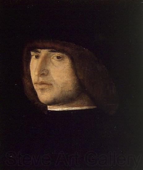 Gentile Bellini Portrait of a Young Man Germany oil painting art